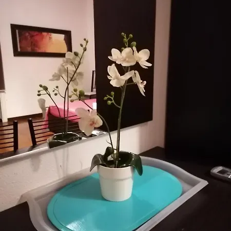 Clarahouse Konukevi Roma